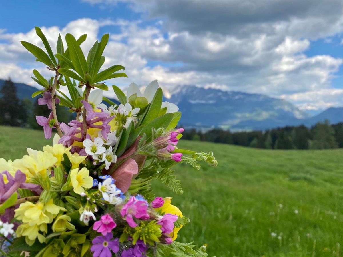 Obersdorfer Hof Séjour à la campagne Bad Mitterndorf